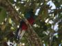 CostaRica06 - 033